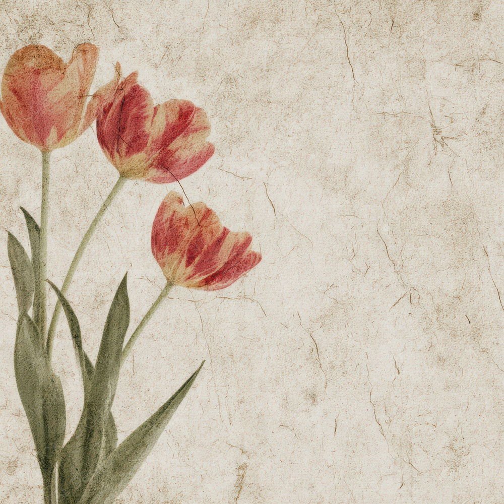 Vintage Tulip Overlay Digital Paper Pack (DDD008686)