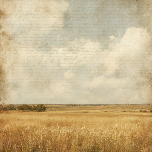 Vintage Wheat Field Landscape Digital Paper Pack (DDD008887)