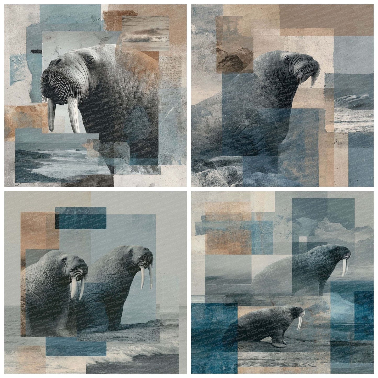 Walrus Polar Moodboard Digital Paper Pack (DDD004342)