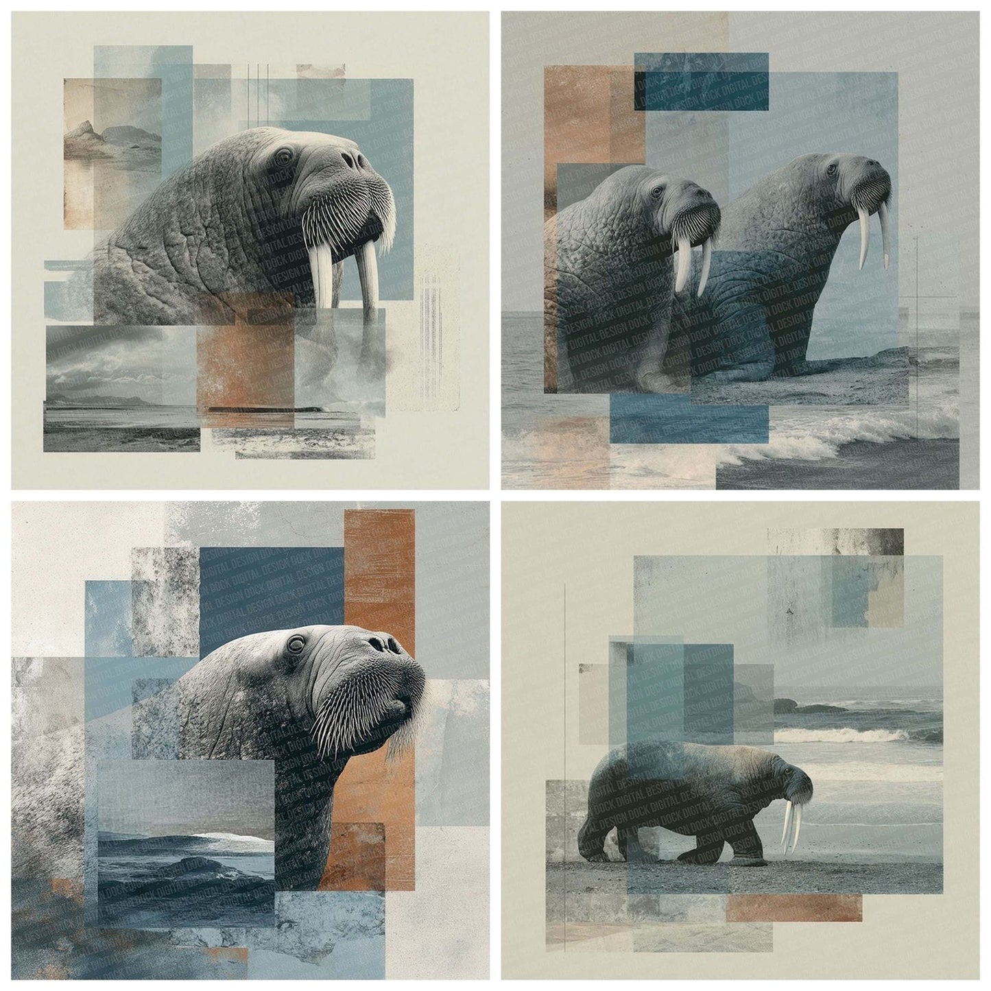 Walrus Polar Moodboard Digital Paper Pack (DDD004342)