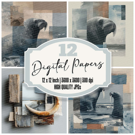 Walrus Polar Moodboard Digital Paper Pack (DDD004342)