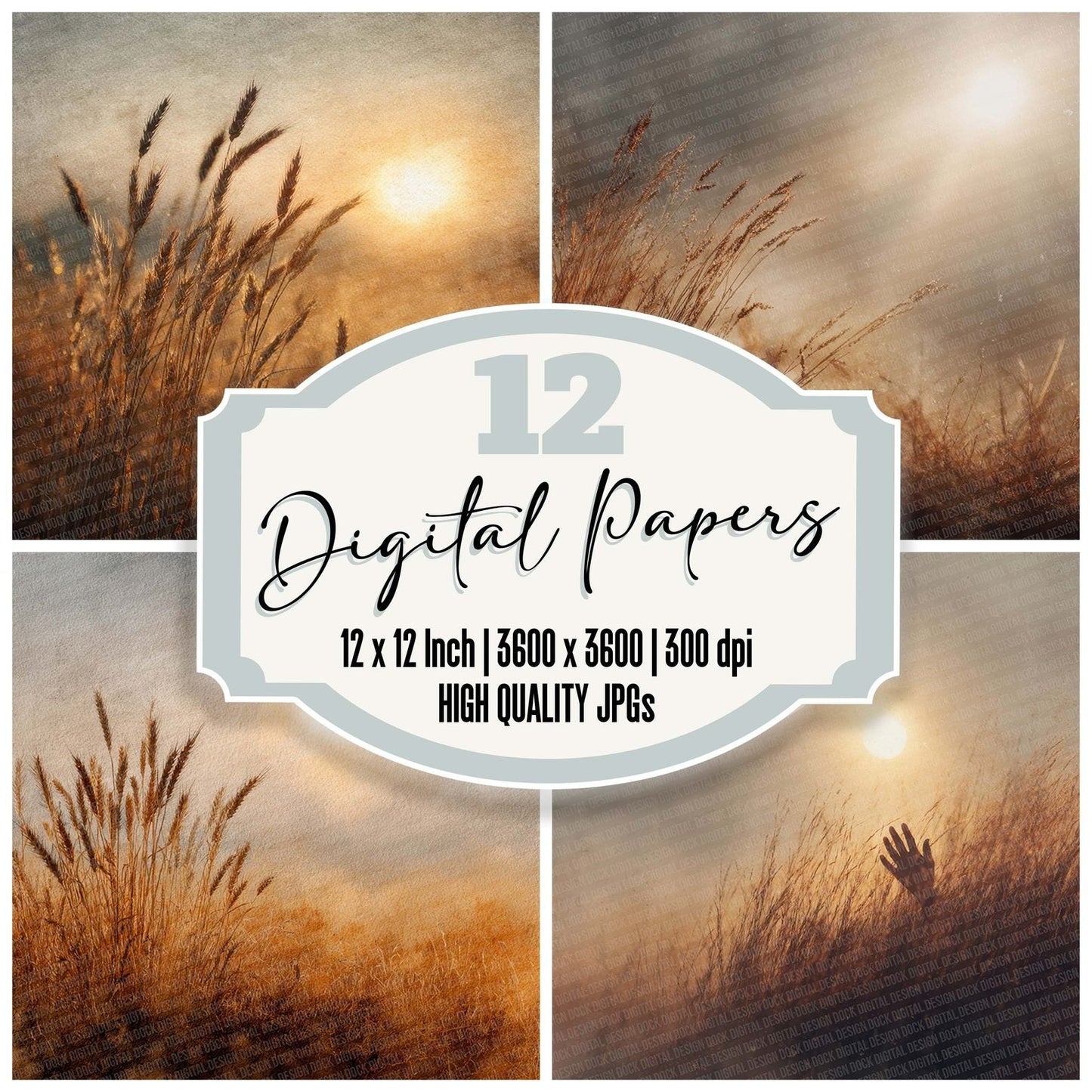 Wheat Haze Noon Digital Paper Pack (DDD004396)