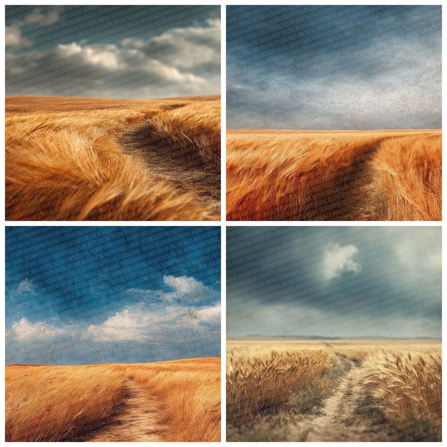 Wheat Run Blur Digital Paper Pack (DDD004398)