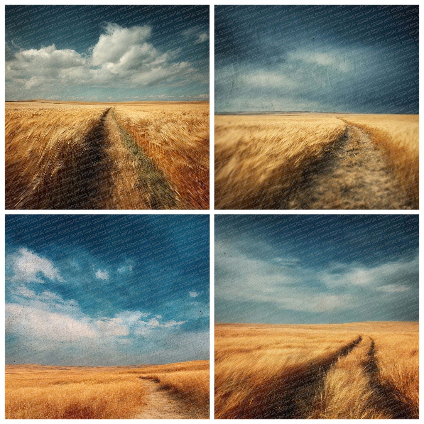 Wheat Run Blur Digital Paper Pack (DDD004398)