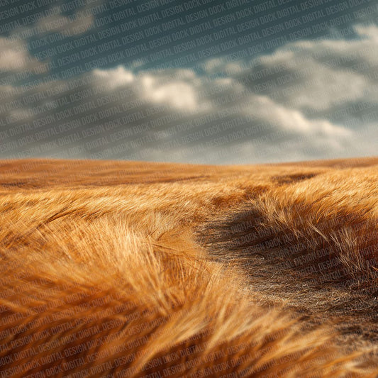 Wheat Run Blur Digital Paper Pack (DDD004398)