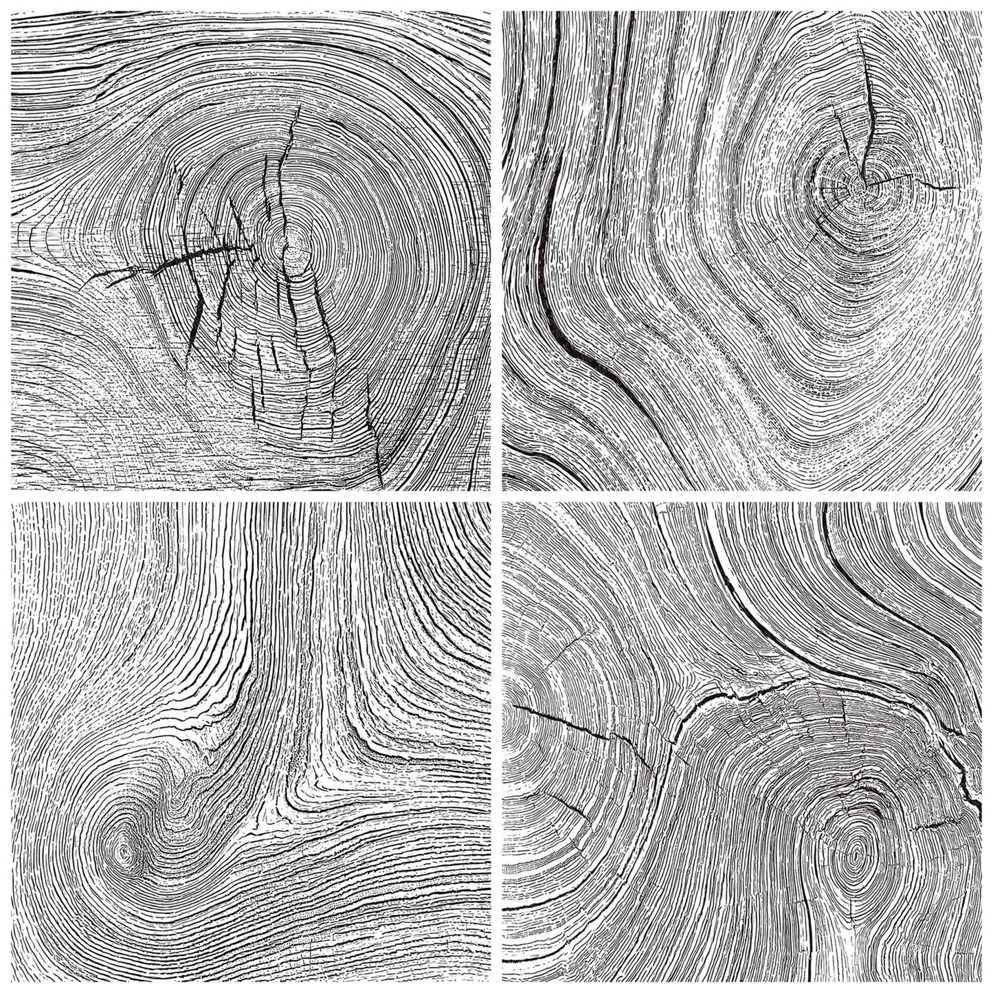 Wood Grain Lines Digital Paper Pack (DDD004462)