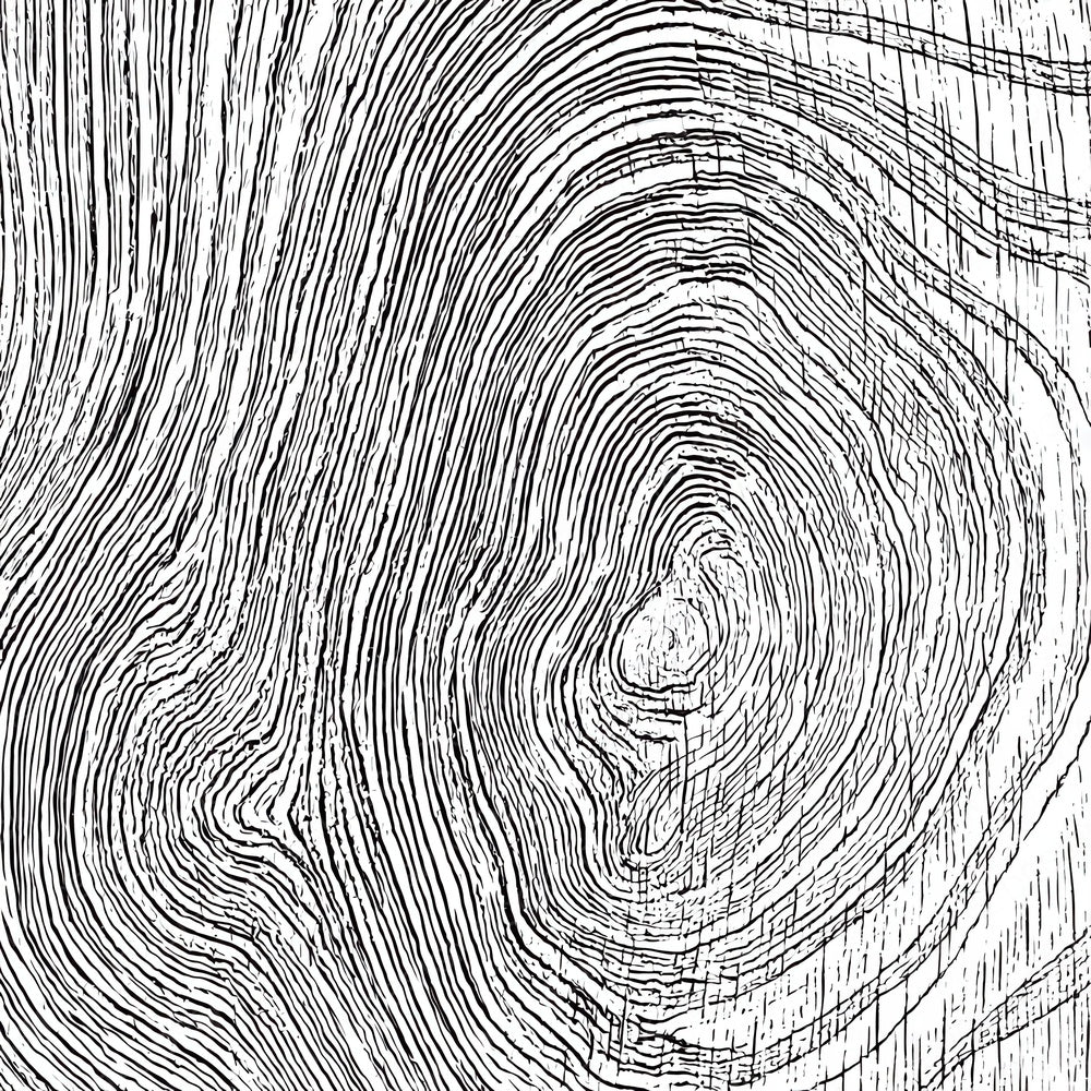 Wood Grain Lines Digital Paper Pack (DDD004462)