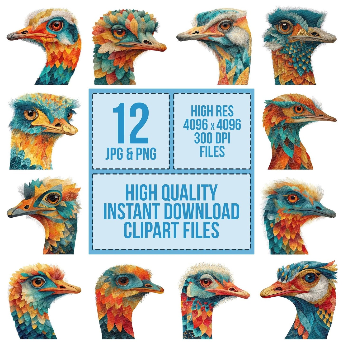 Decorative Ostrich Portrait Clipart Set (DDD005098)