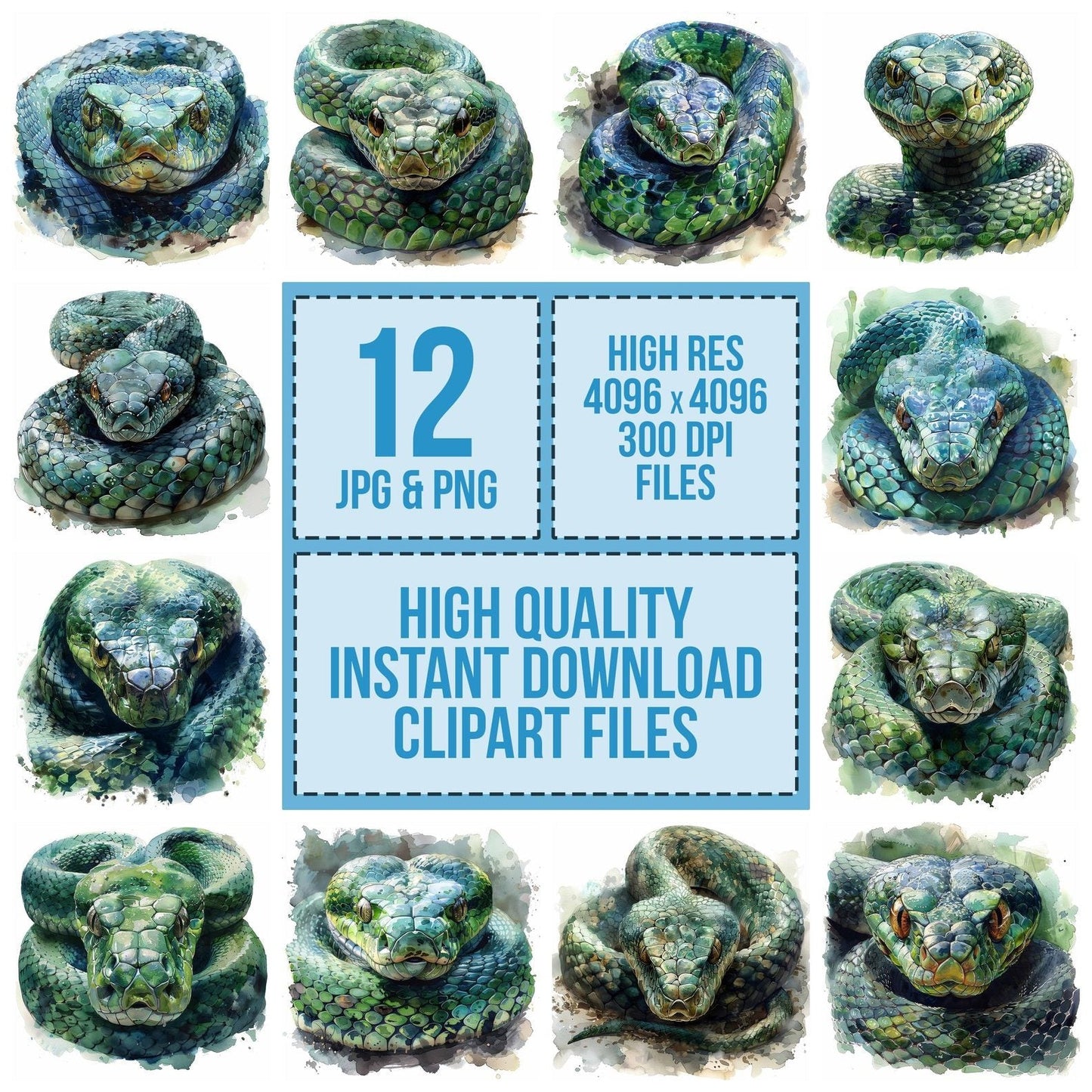 Defence Posture Snake Clipart Set (DDD005103)