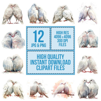 Dove Love Pair Clipart Set (DDD005125)