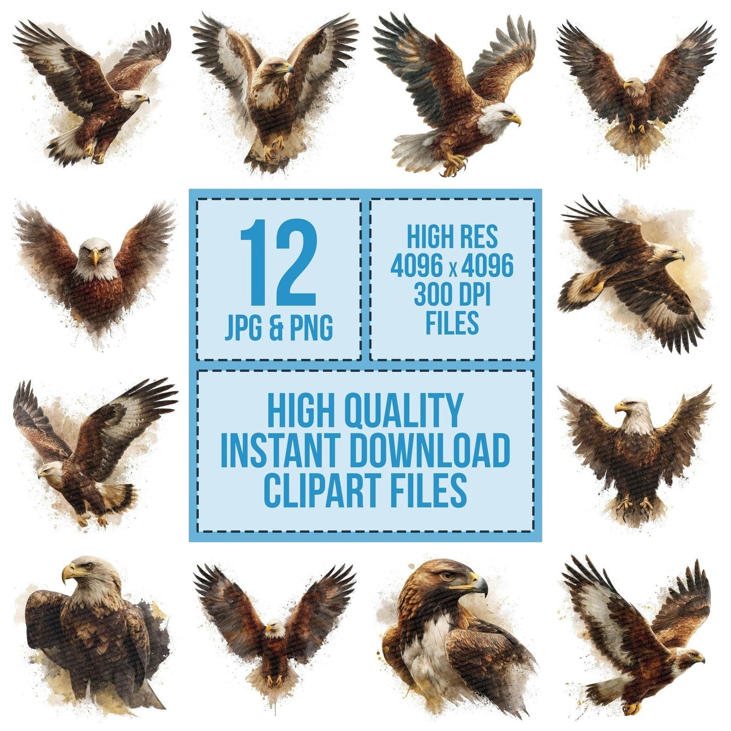 Eagle Bird Illustration Clipart Set (DDD005135)