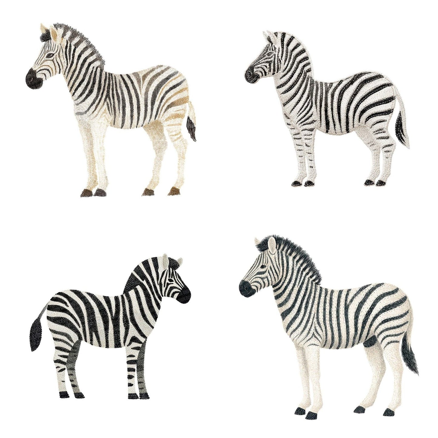 Fabric Zebra Clipart Set (DDD005294)
