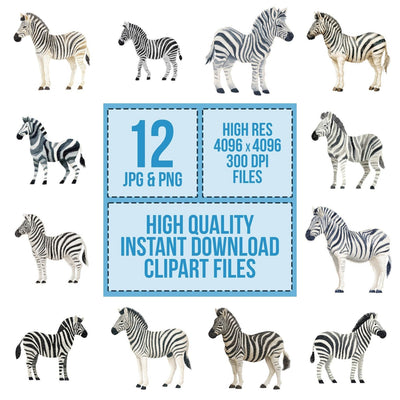 Fabric Zebra Clipart Set (DDD005294)