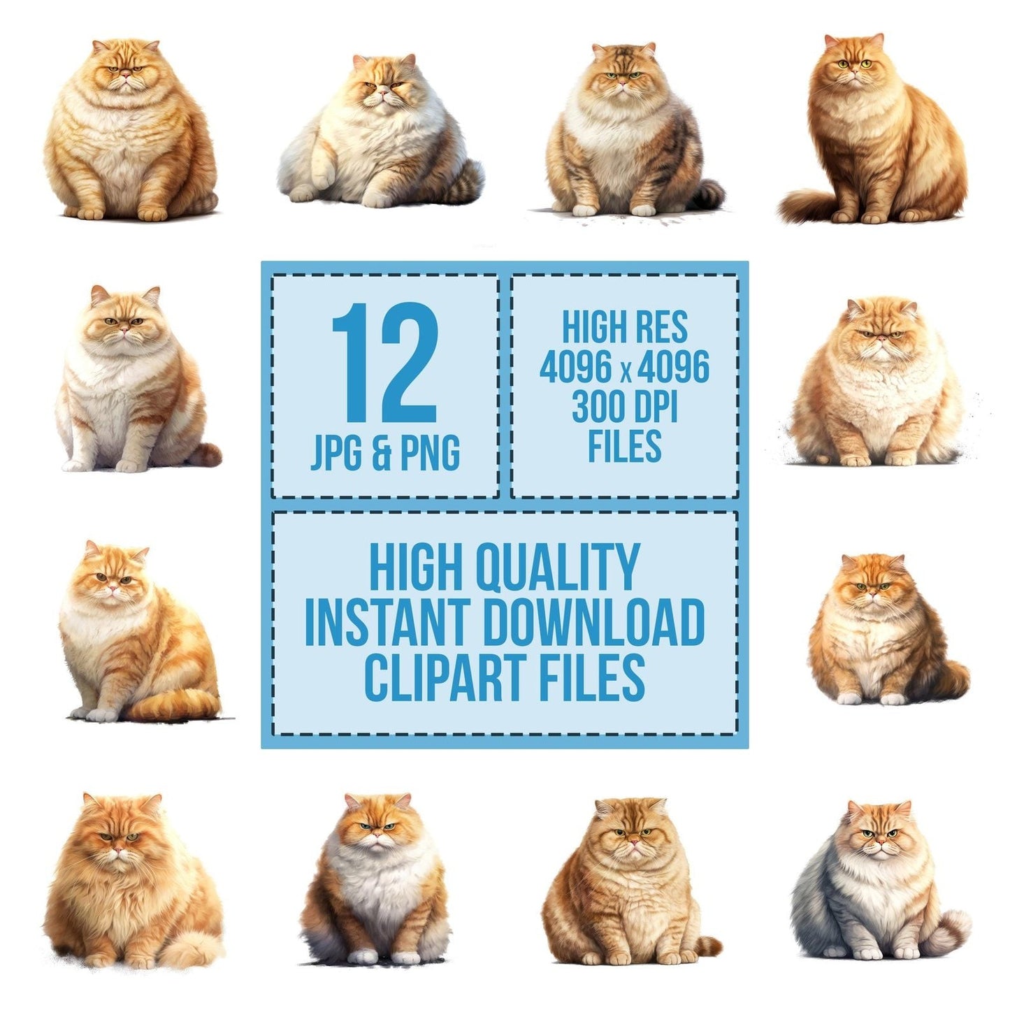 Fat Grumpy Cat Clipart Set (DDD005314)