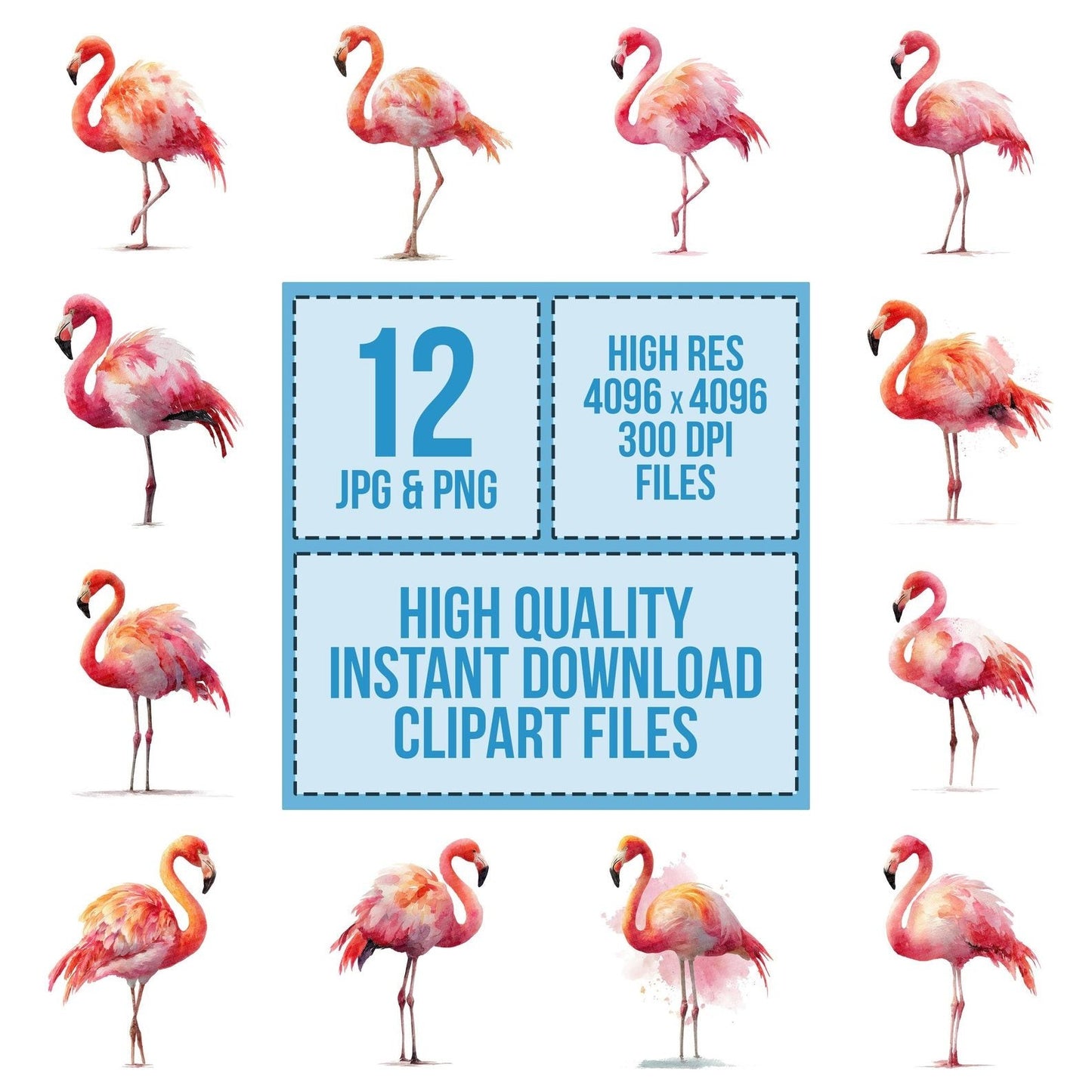Flamingo Bird Illustration Clipart Set (DDD005330)