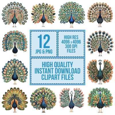 Flat Folk Art Front Peacock clipart set cover showing the designs and file details