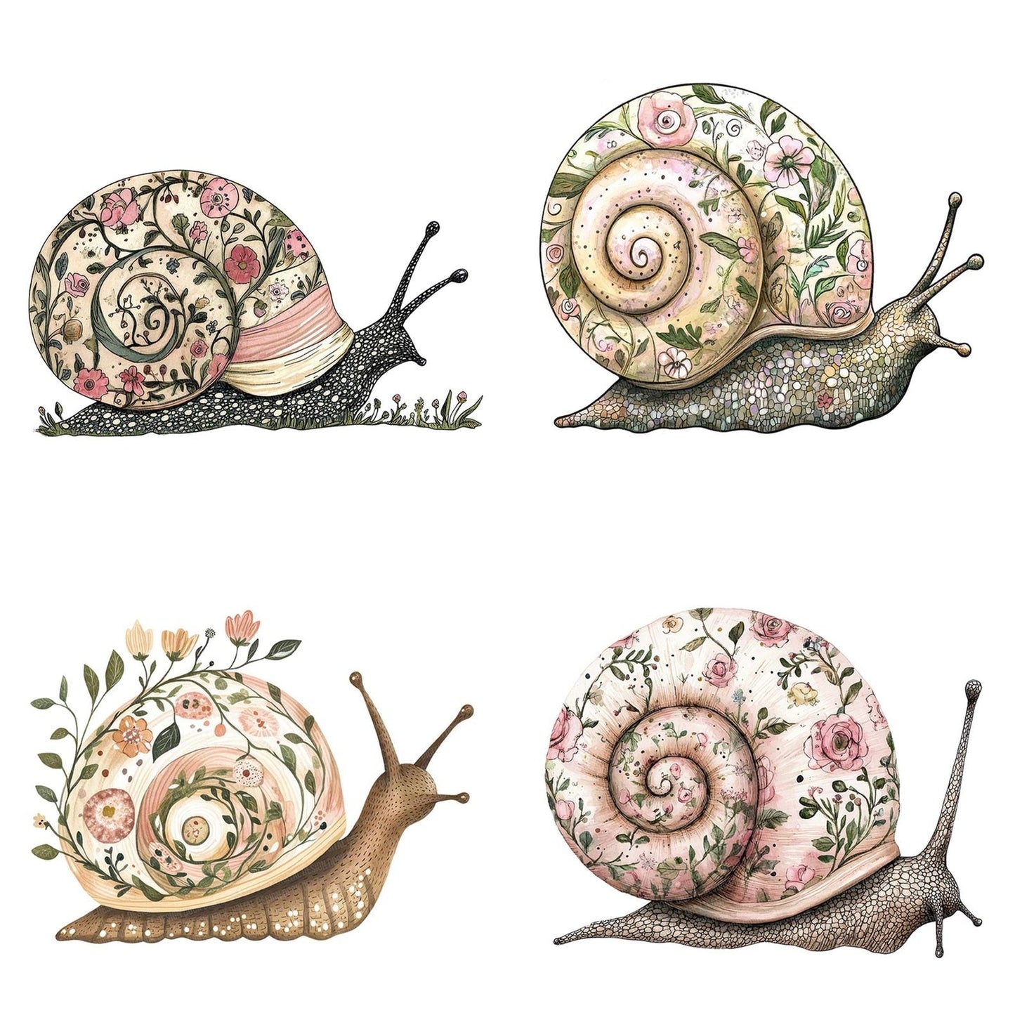 Flat Snail with Vines Clipart Set (DDD005363)
