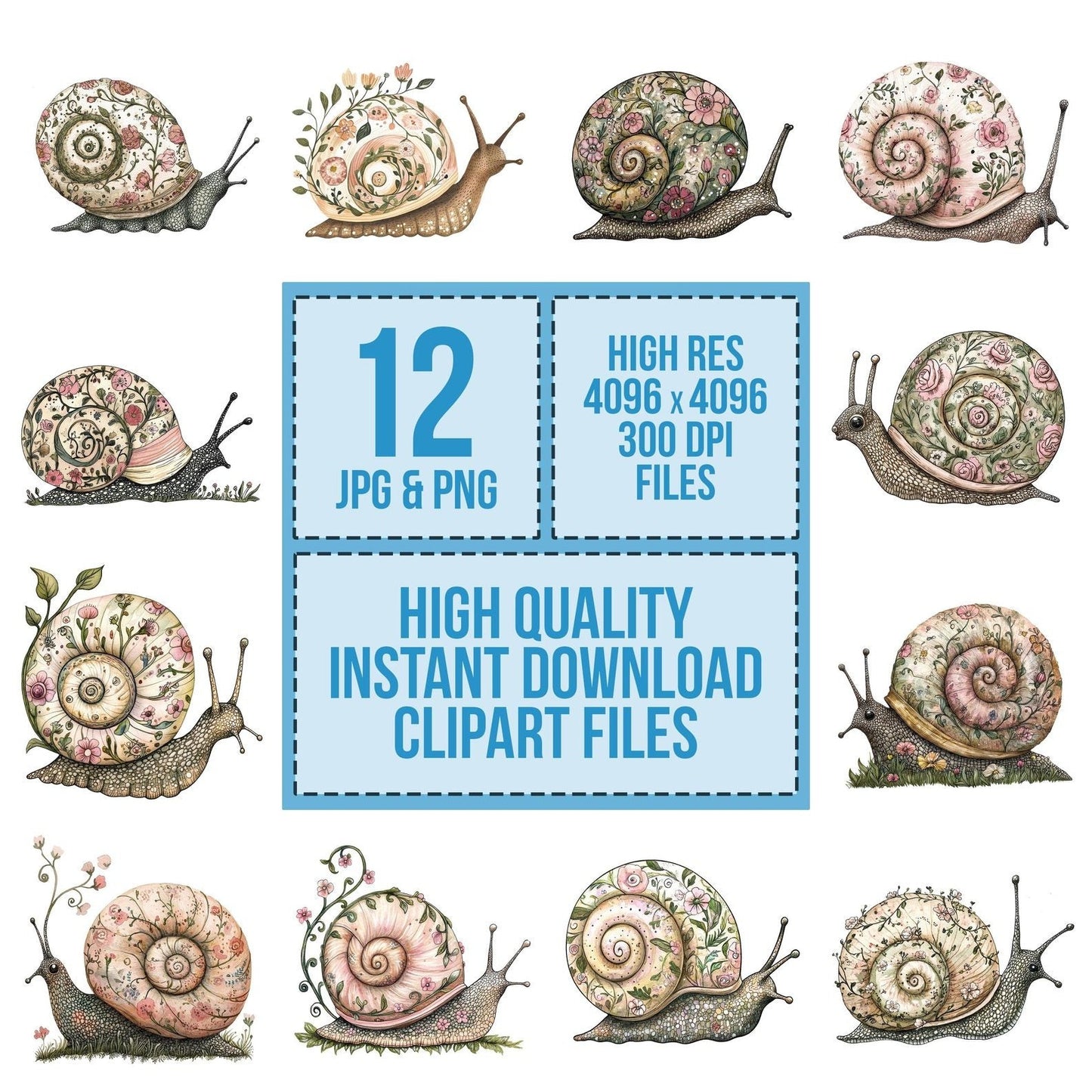 Flat Snail with Vines Clipart Set (DDD005363)