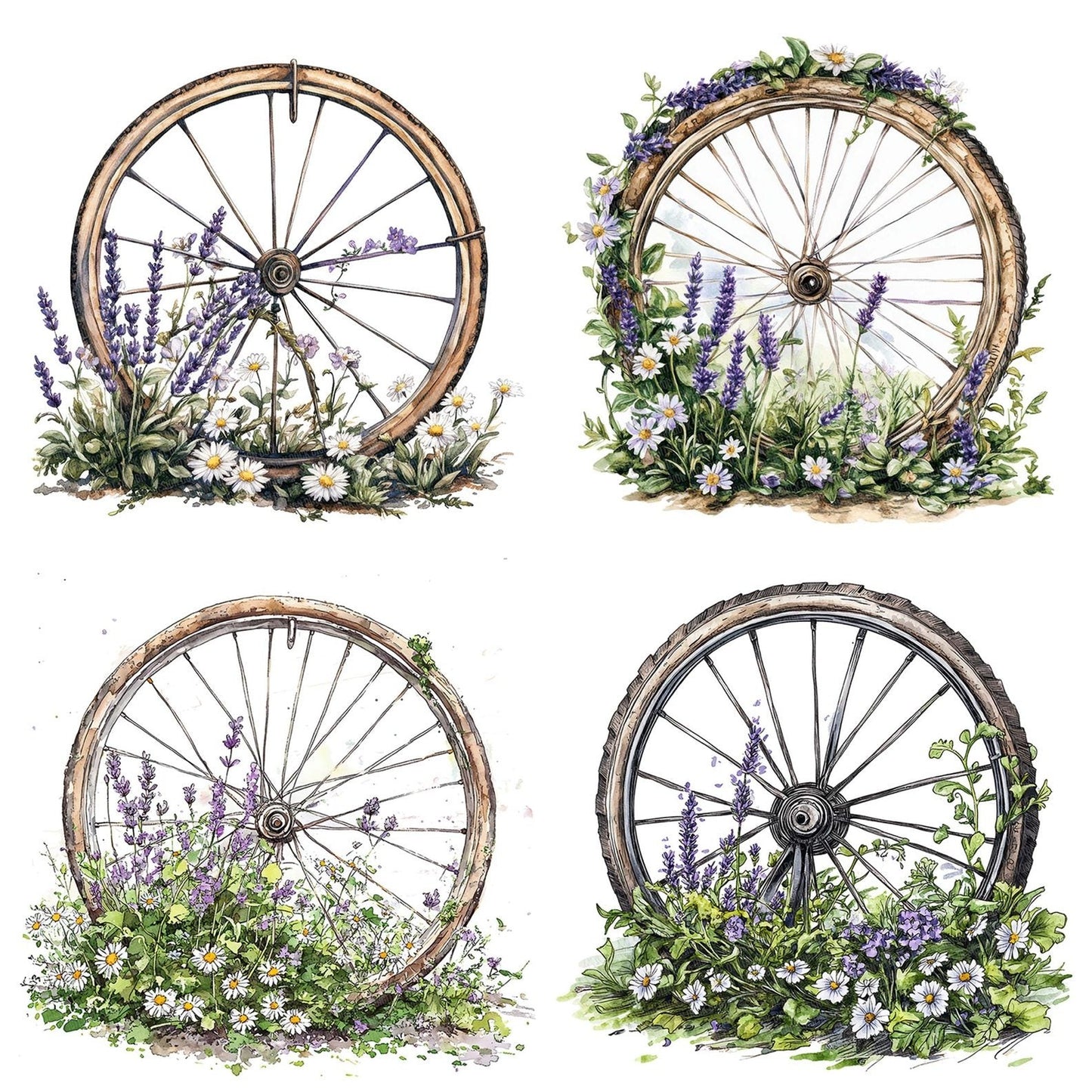 Floral Bicycle Wheel Clipart Set (DDD005370)