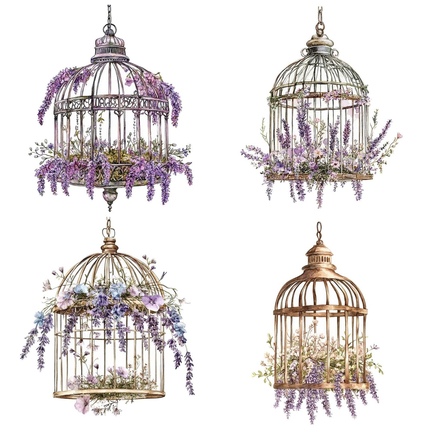 Floral Birdcage Chandelier Clipart Set (DDD005374)