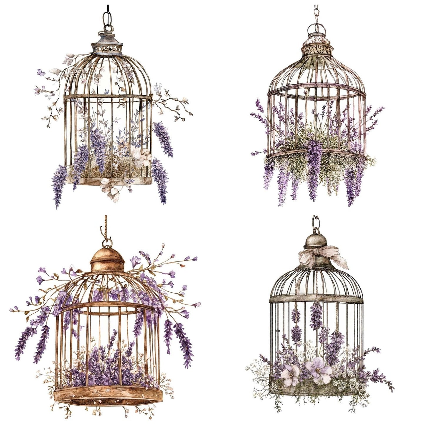 Floral Birdcage Chandelier Clipart Set (DDD005374)