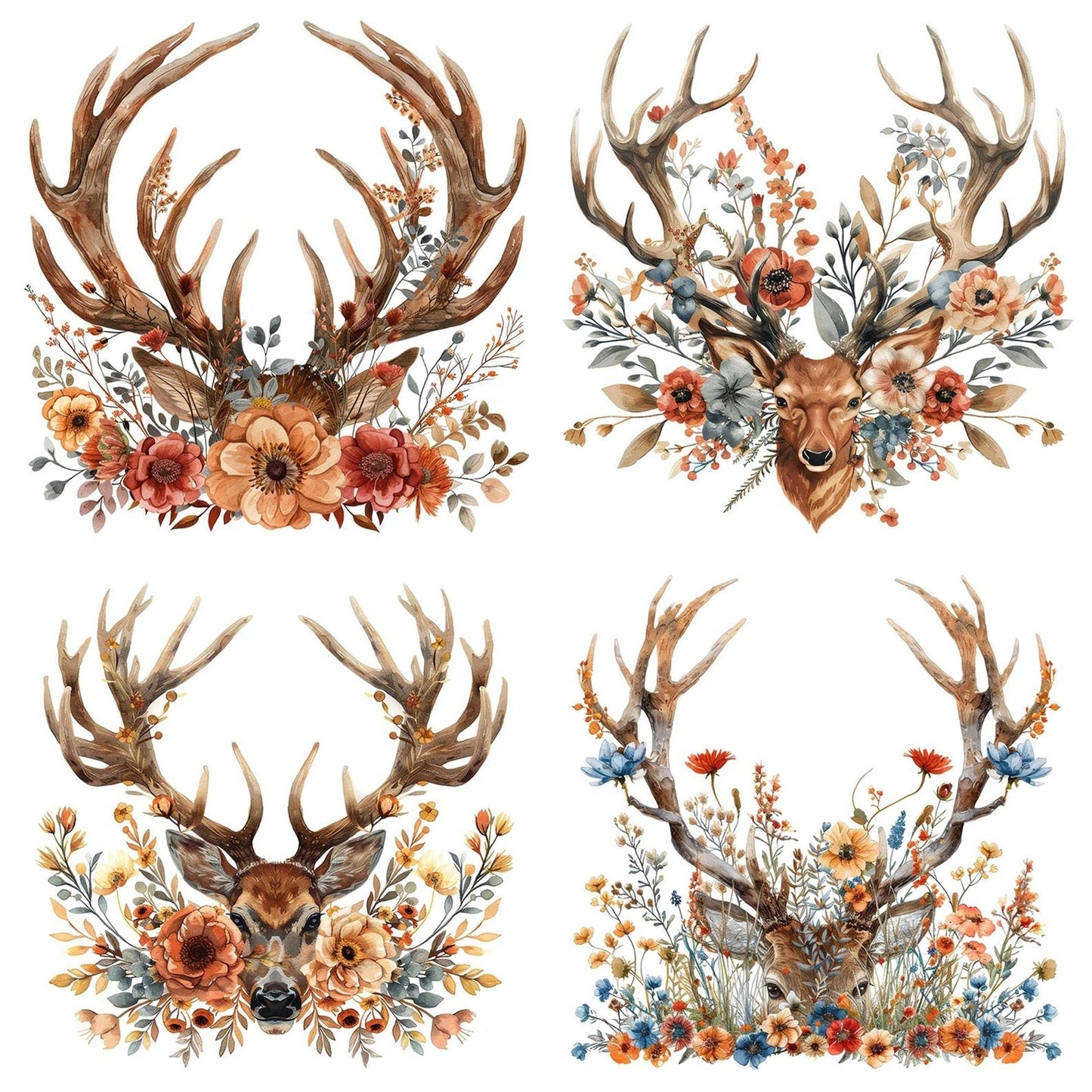 Floral Deer Antlers Clipart Set (DDD005392)