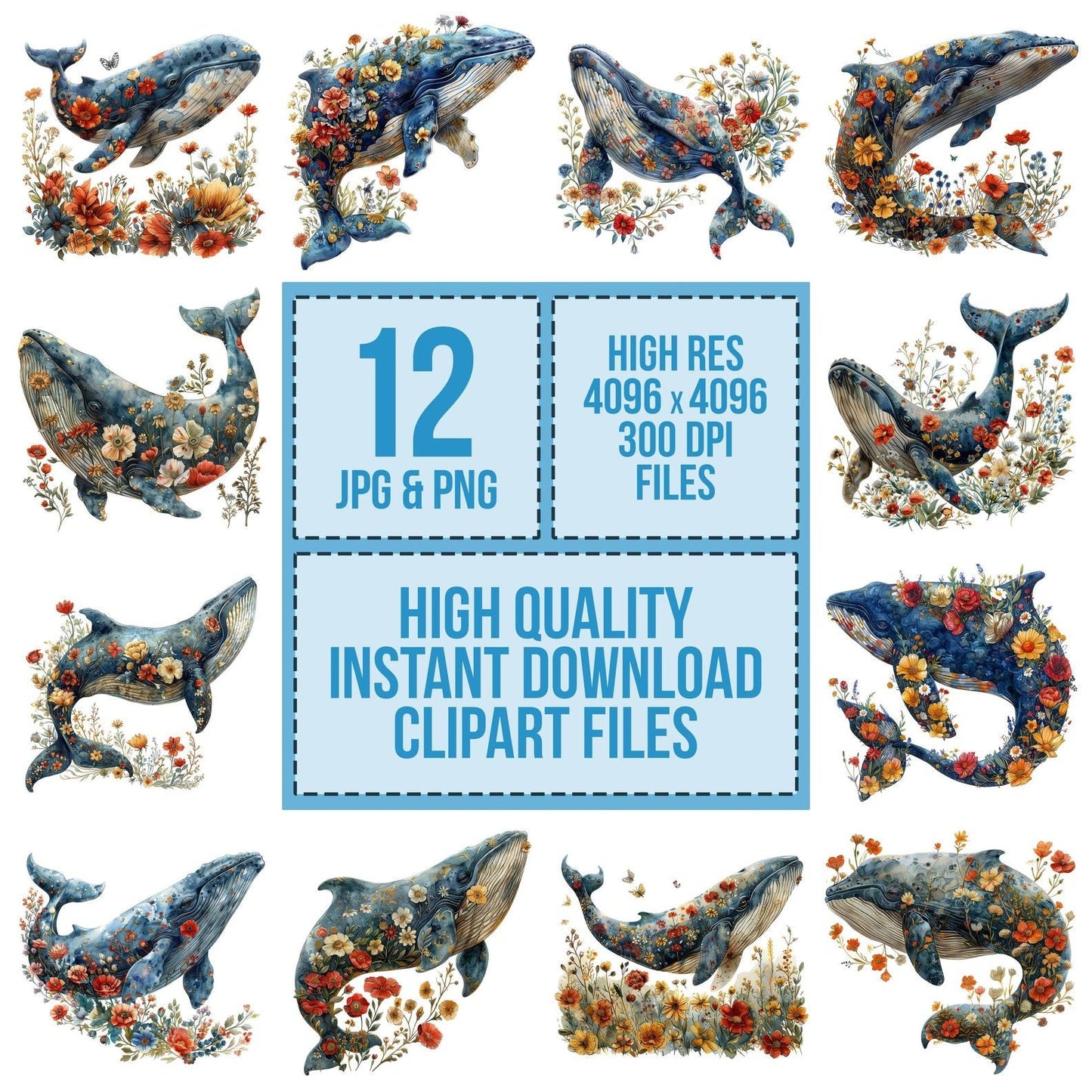 Floral Whale Clipart Set (DDD005445)