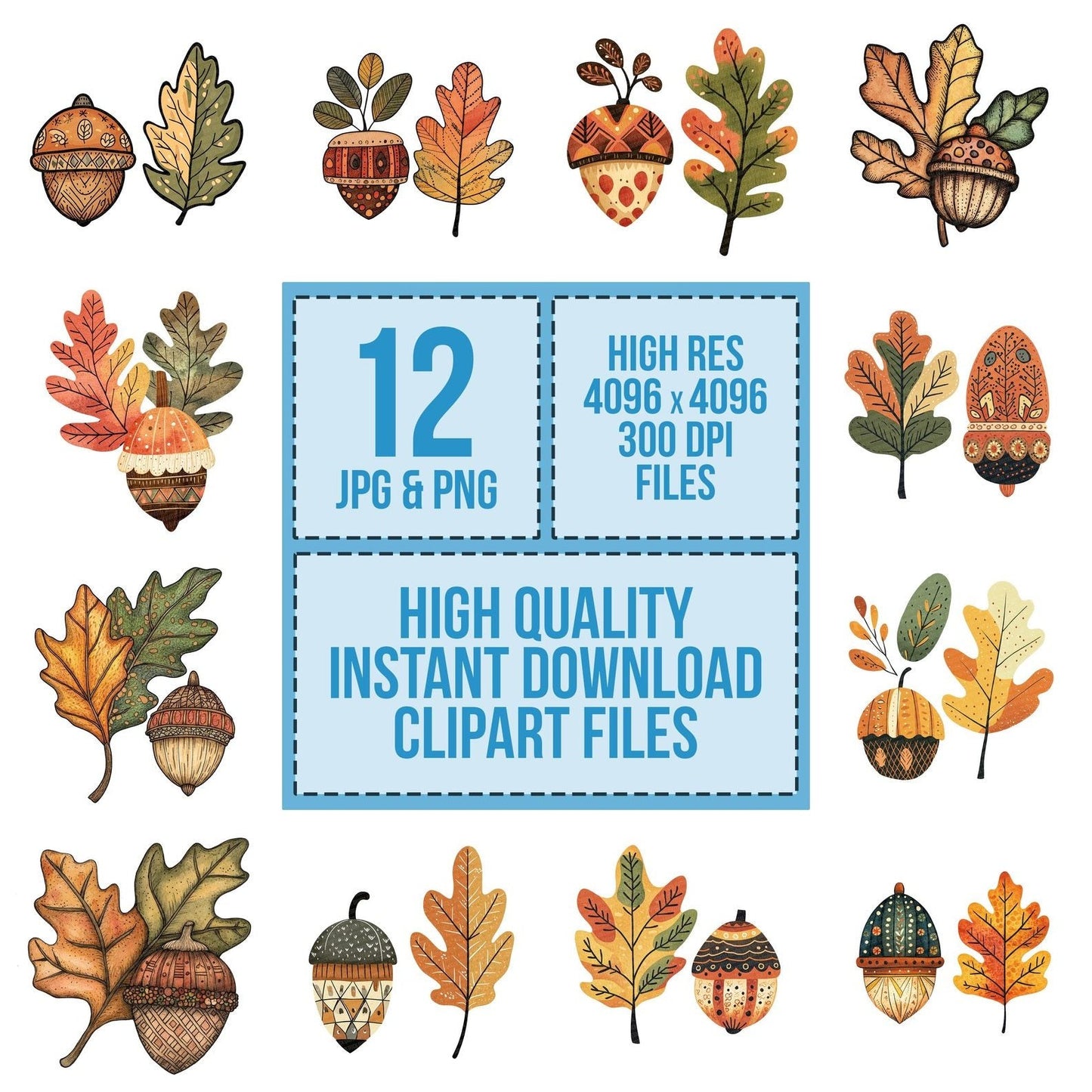 Folk Acorn and Leaf Clipart Set (DDD005458)