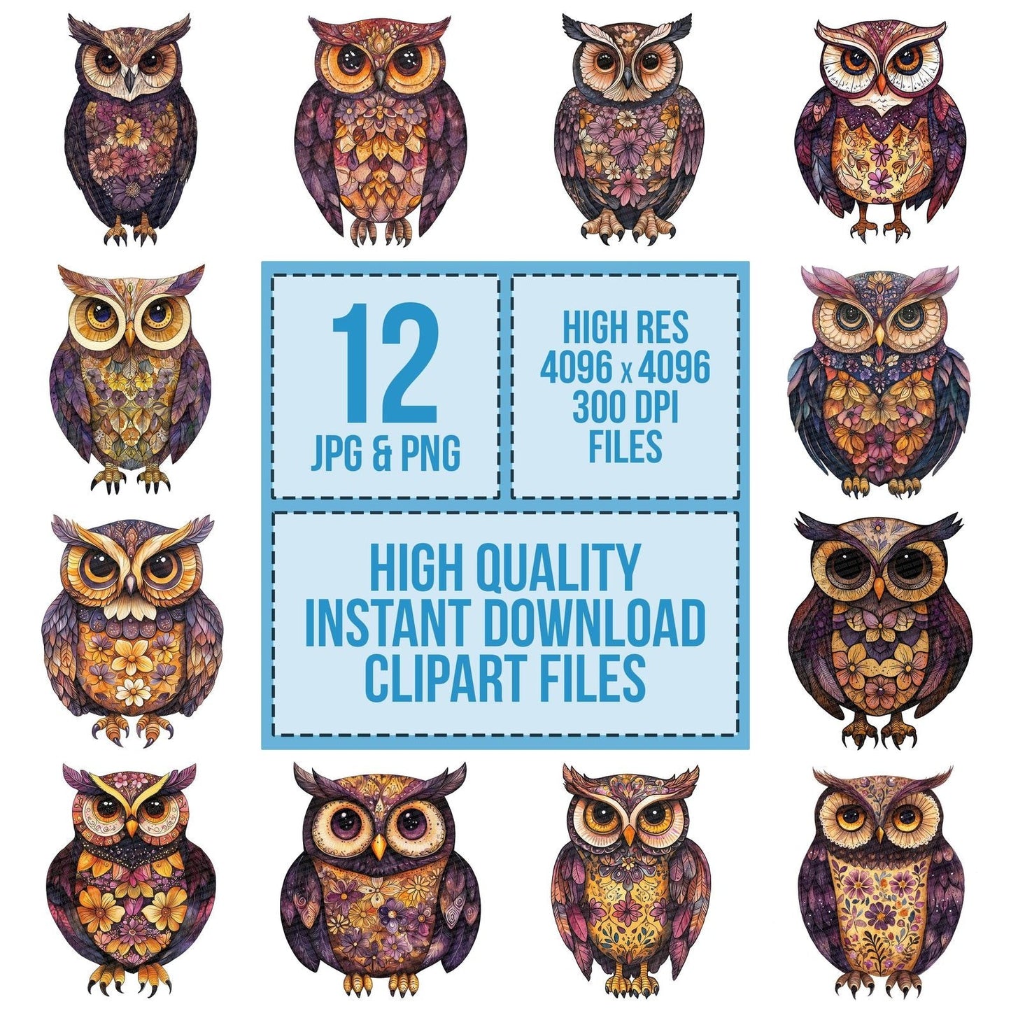 Folk Owl with Florals Clipart Set (DDD005596)