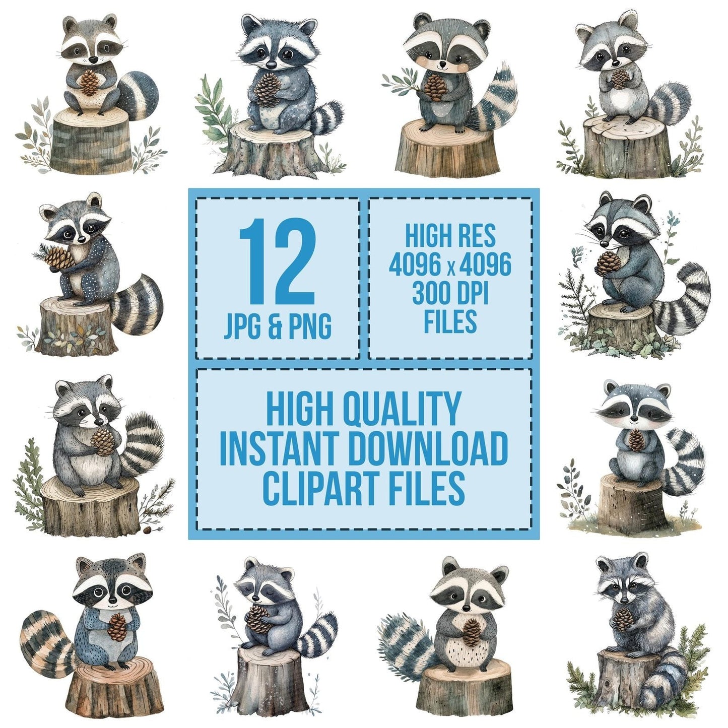 Folk Raccoon on Stump Clipart Set (DDD005606)