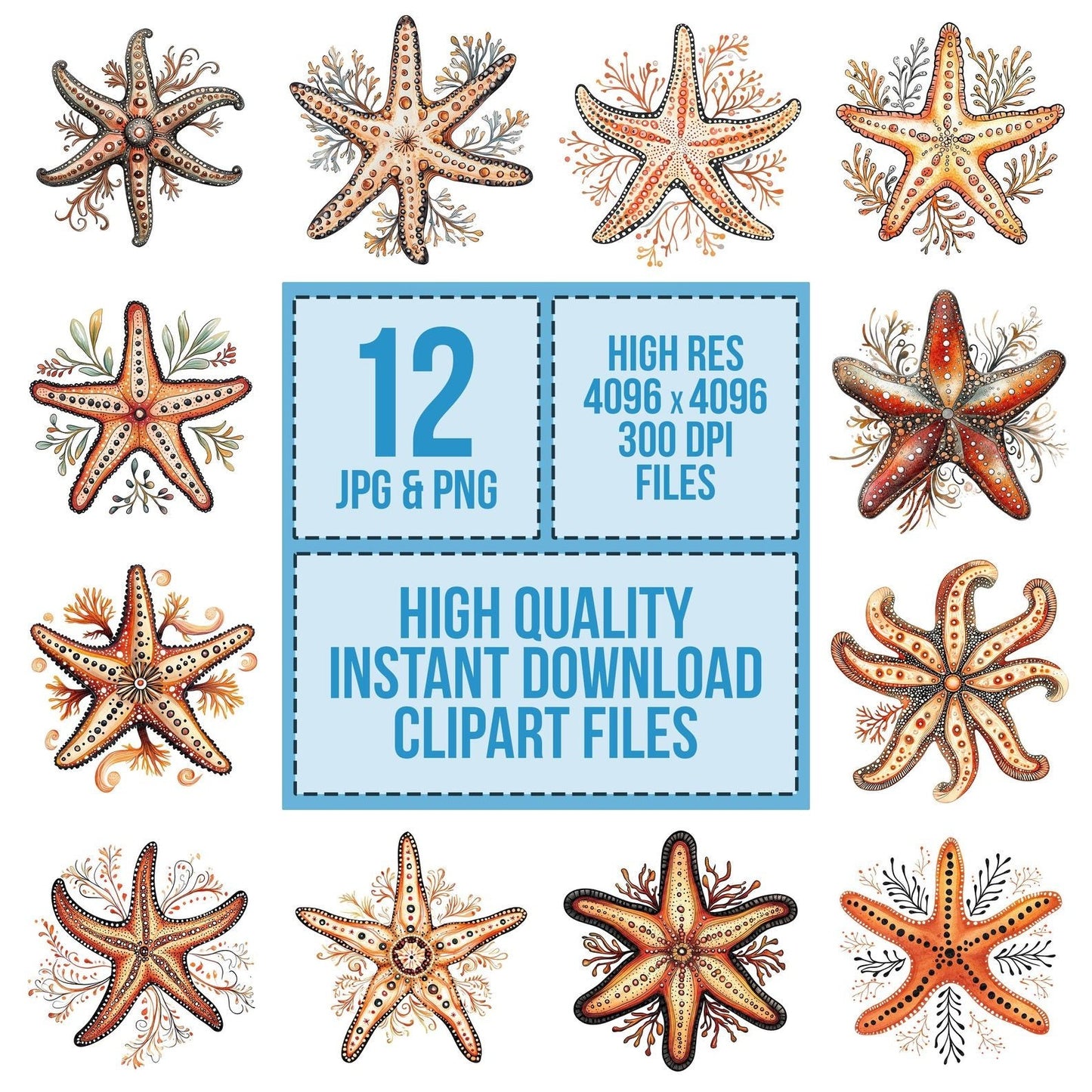 Folk Starfish Mandala Clipart Set (DDD005617)