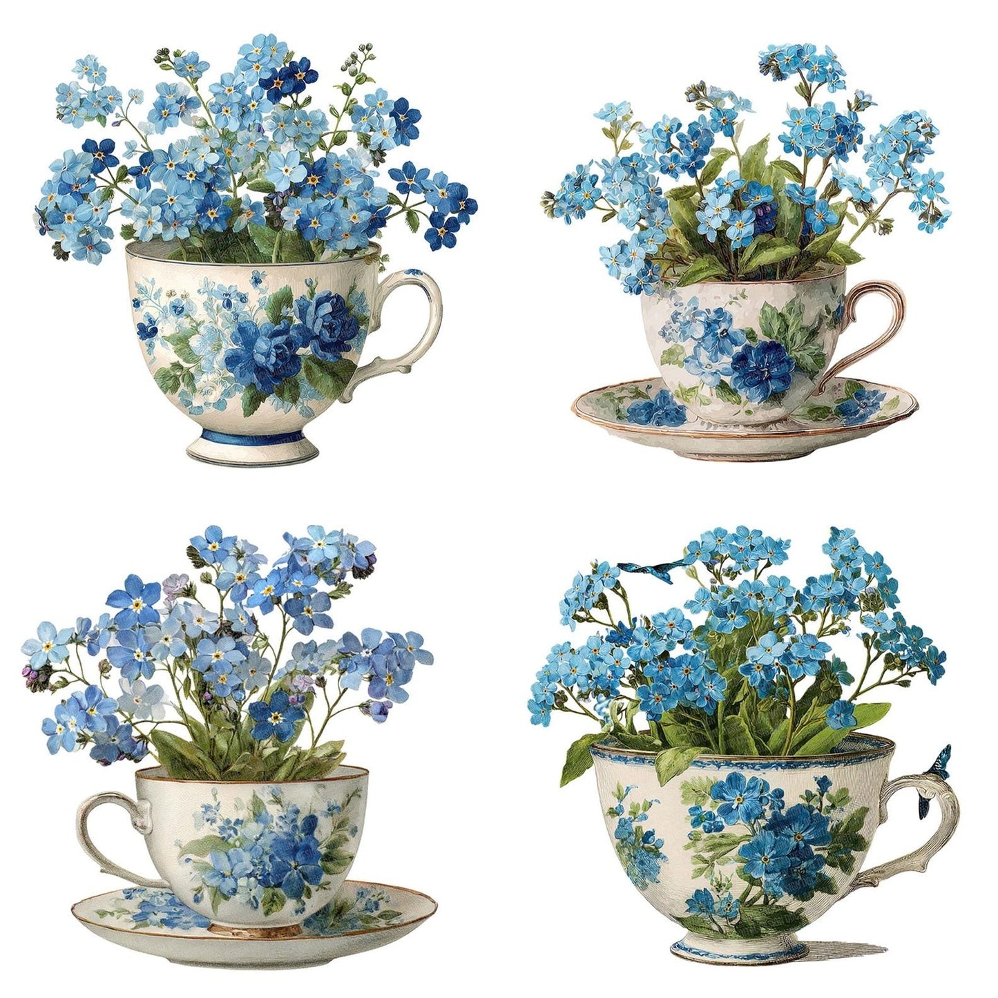 Forget Me Not Teacup Clipart Set (DDD005640)