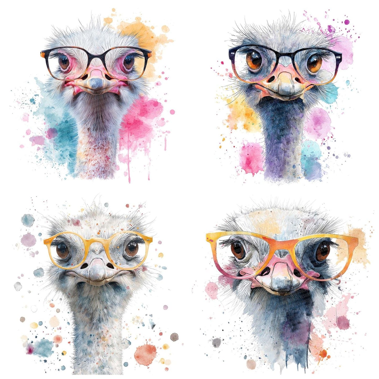 Funny Ostrich Portrait Clipart Set (DDD005672)