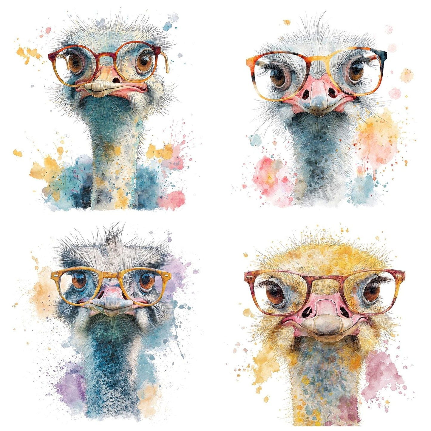 Funny Ostrich Portrait Clipart Set (DDD005672)