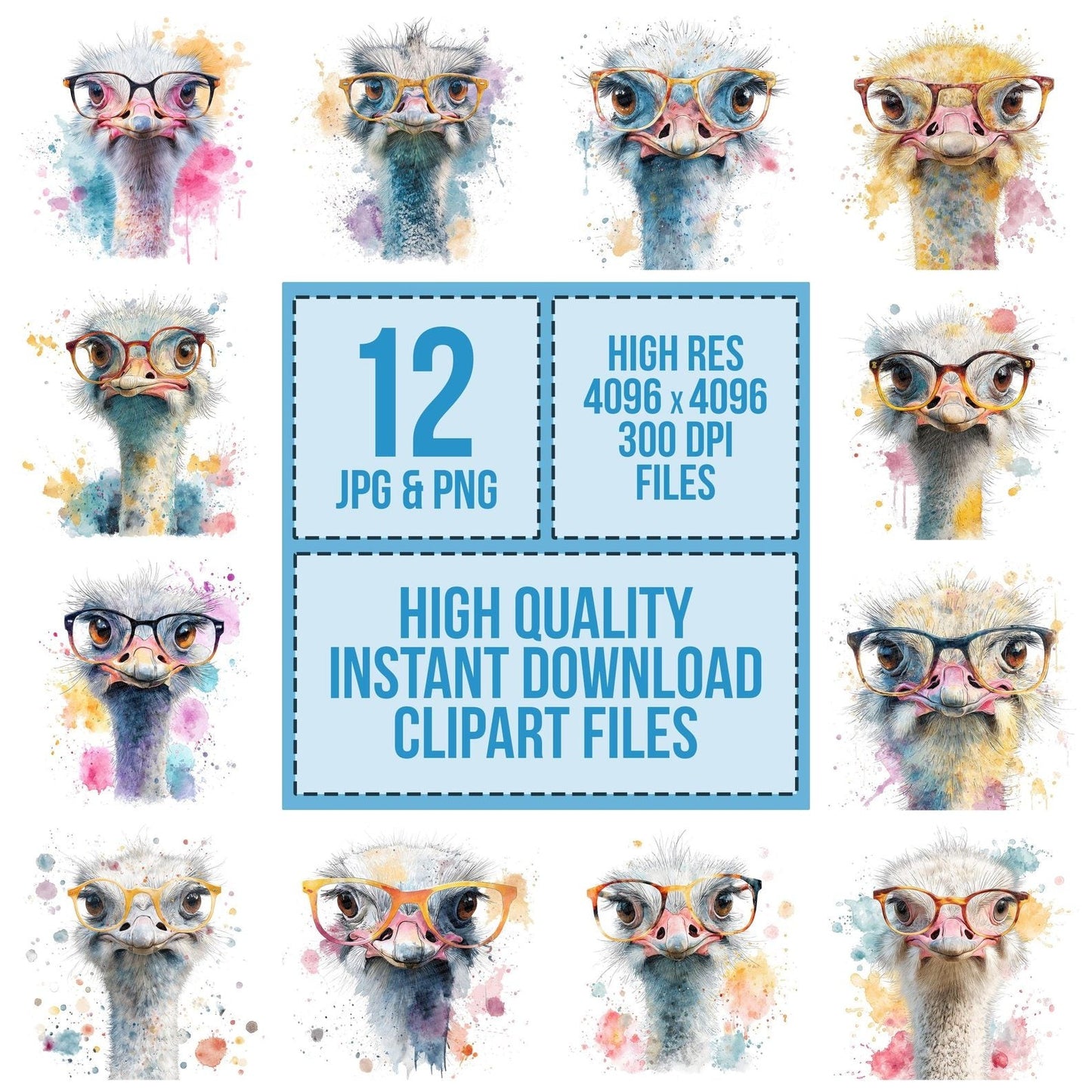 Funny Ostrich Portrait Clipart Set (DDD005672)