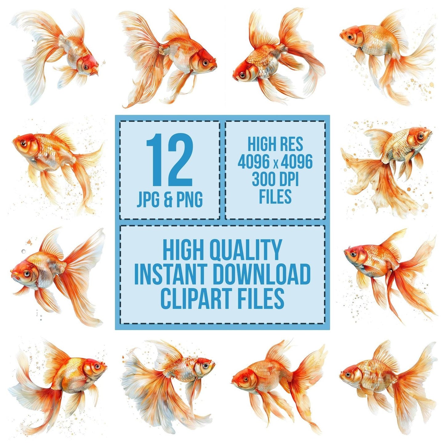 Goldfish with flowing Fins Clipart Set (DDD005729)
