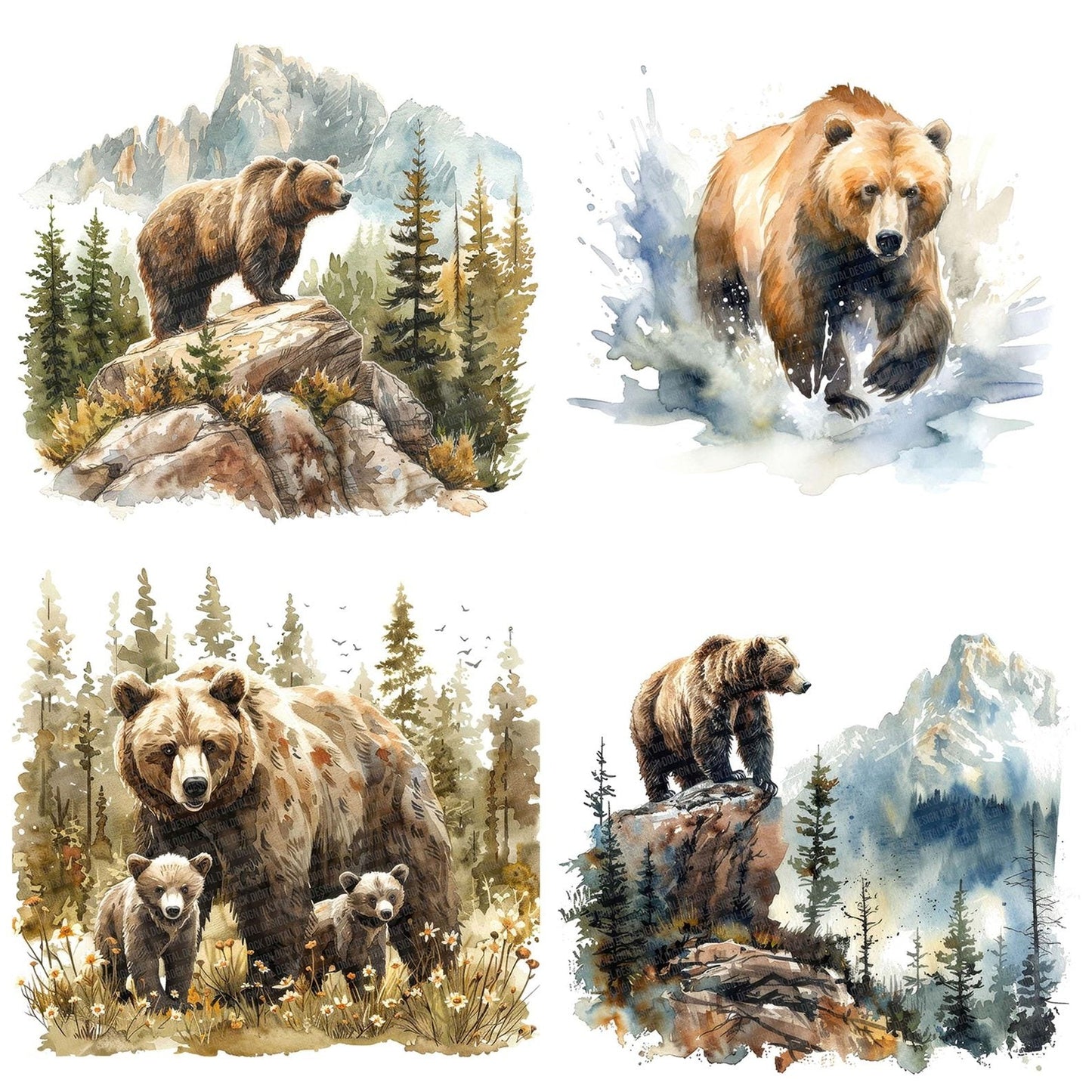 Grizzly Bear Clipart Set (DDD005750)