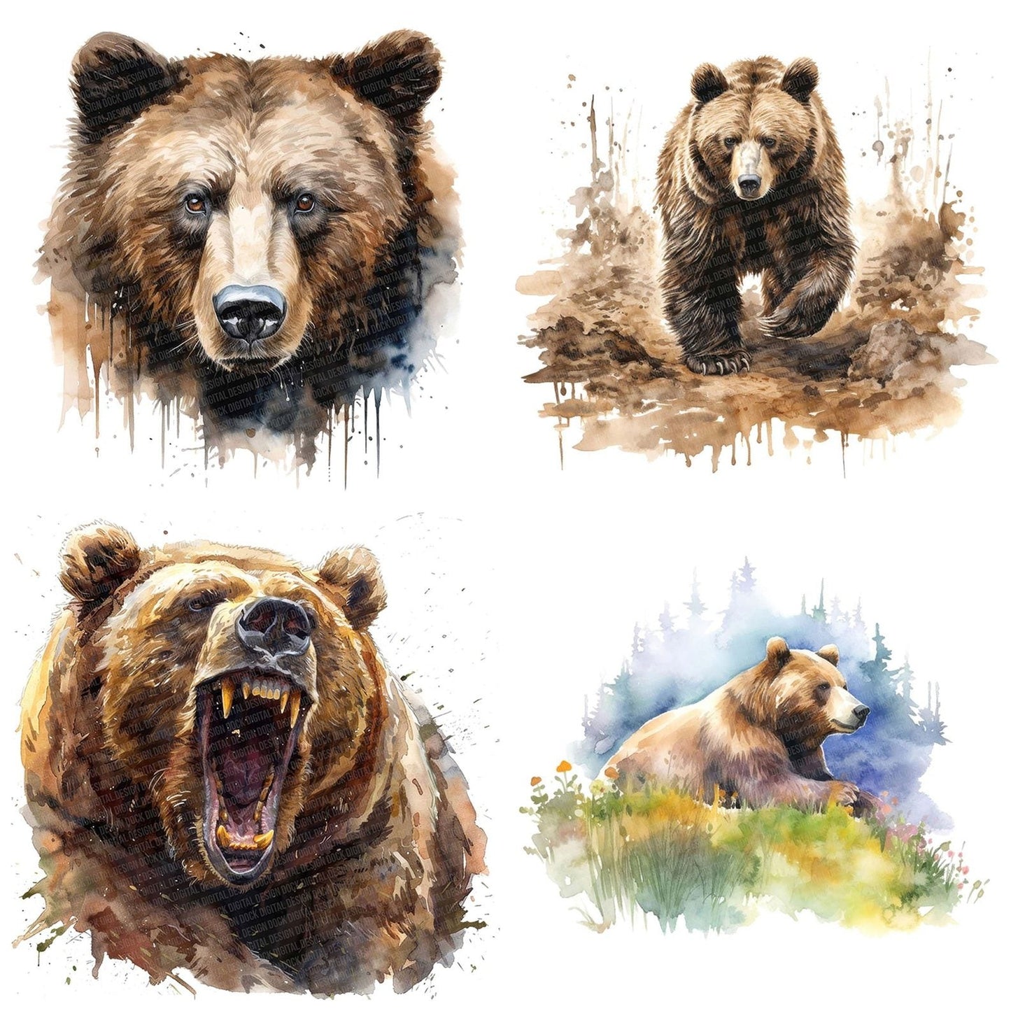 Grizzly Bear Clipart Set (DDD005750)
