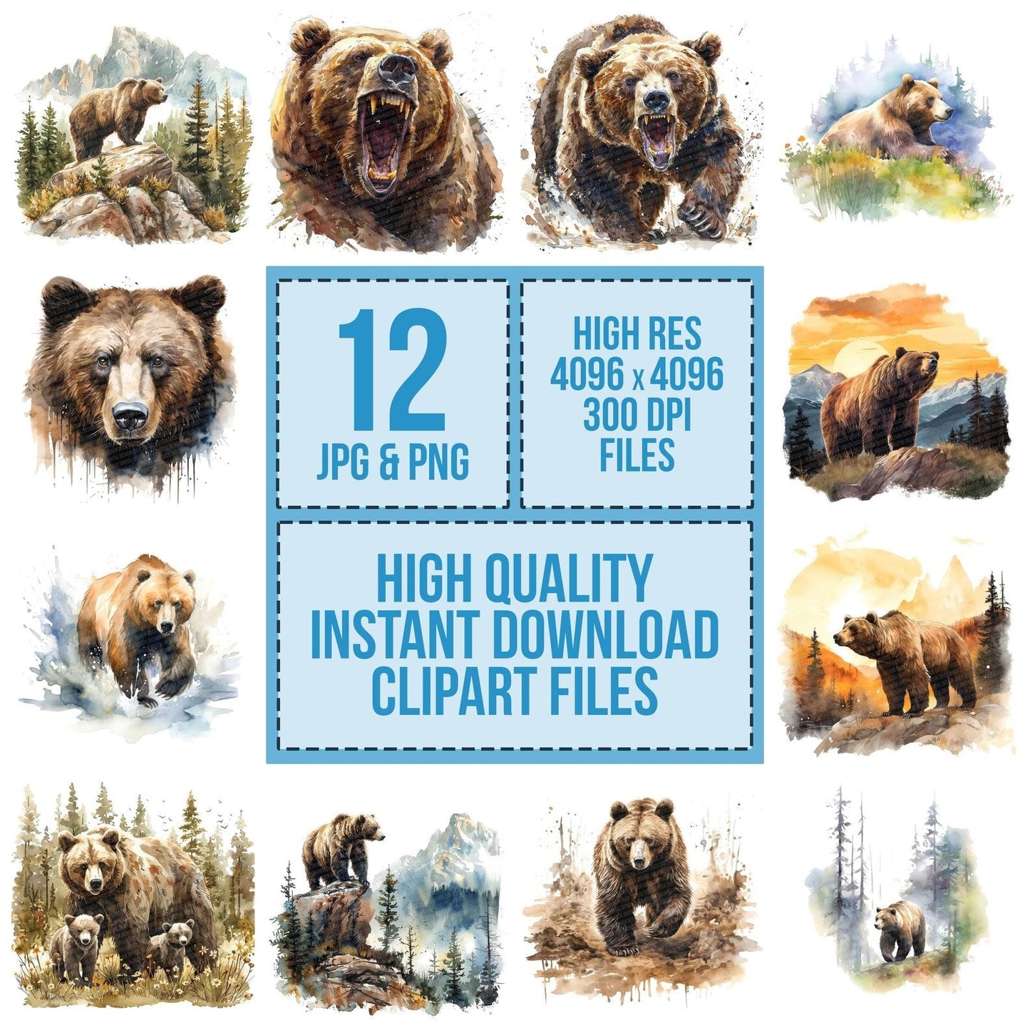 Grizzly Bear Clipart Set (DDD005750)
