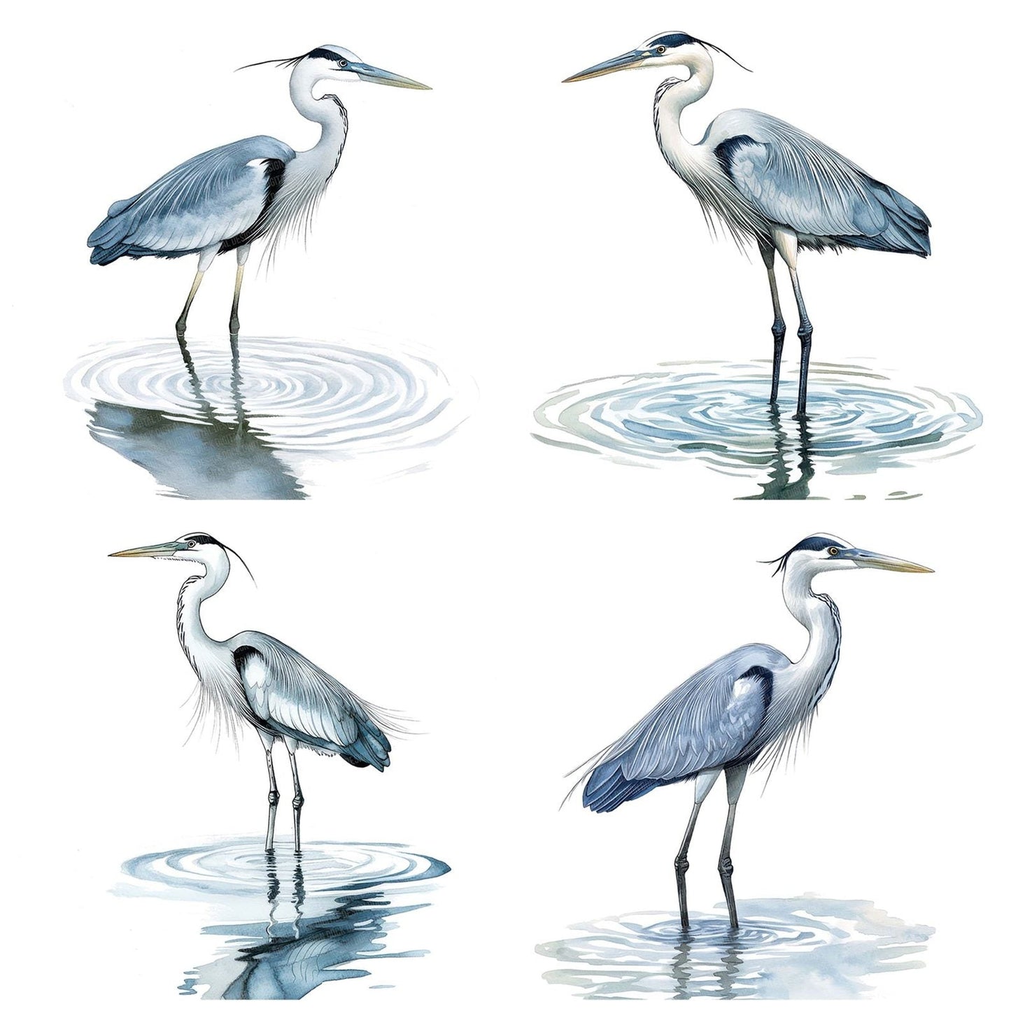 Heron with Water Reflection Clipart Set (DDD005834)