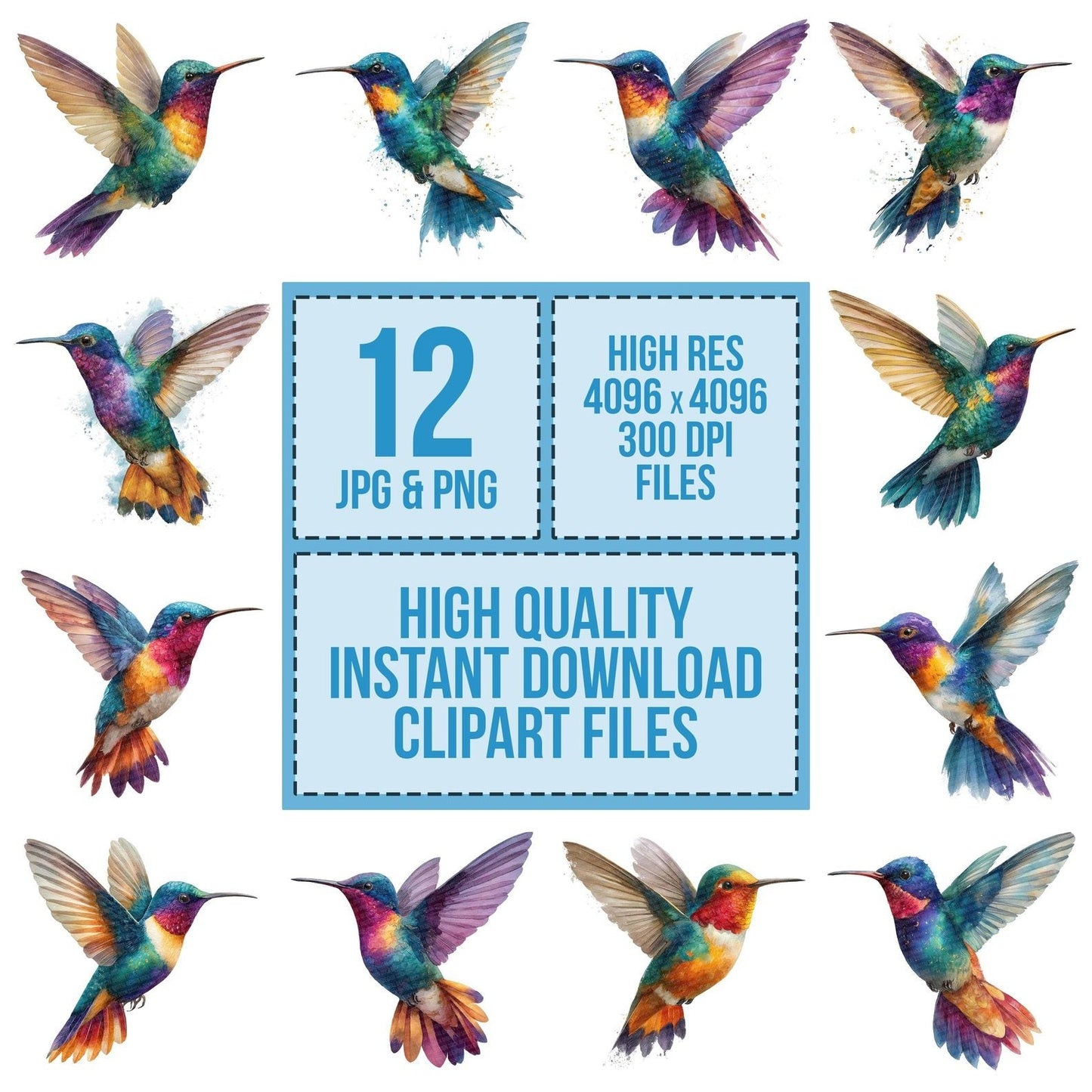 Hummingbird Illustration Clipart Set (DDD005852)