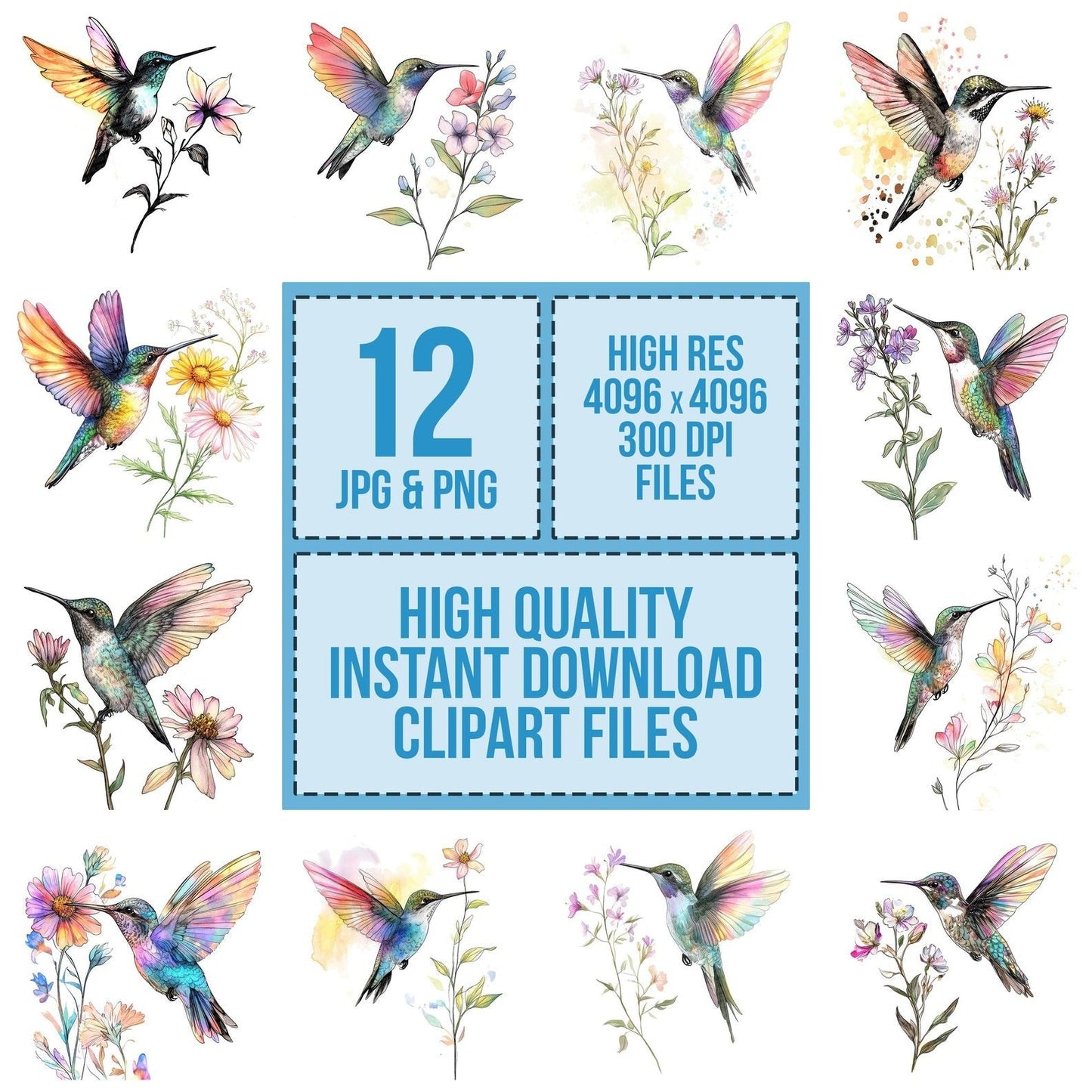 Hummingbird and Wildflower Clipart Set (DDD005851)