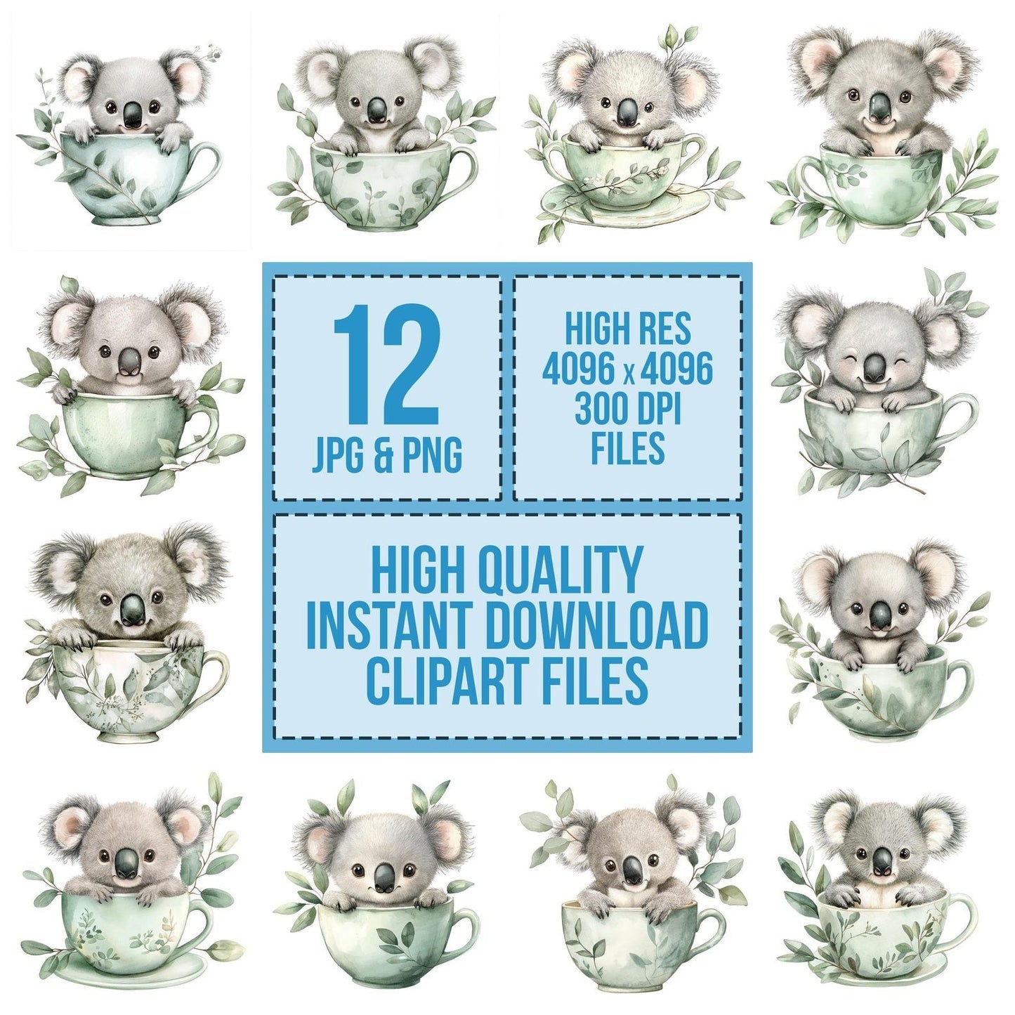 Koala in Eucalyptus Teacup Clipart Set (DDD005936)