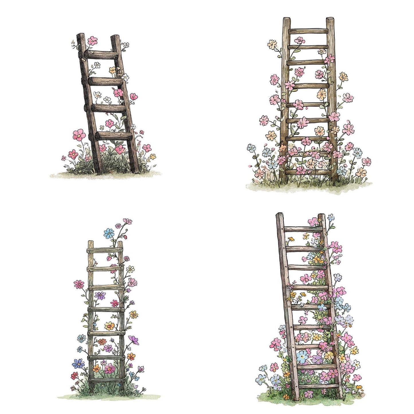 Ladder Wildflowers Clipart Set (DDD005940)