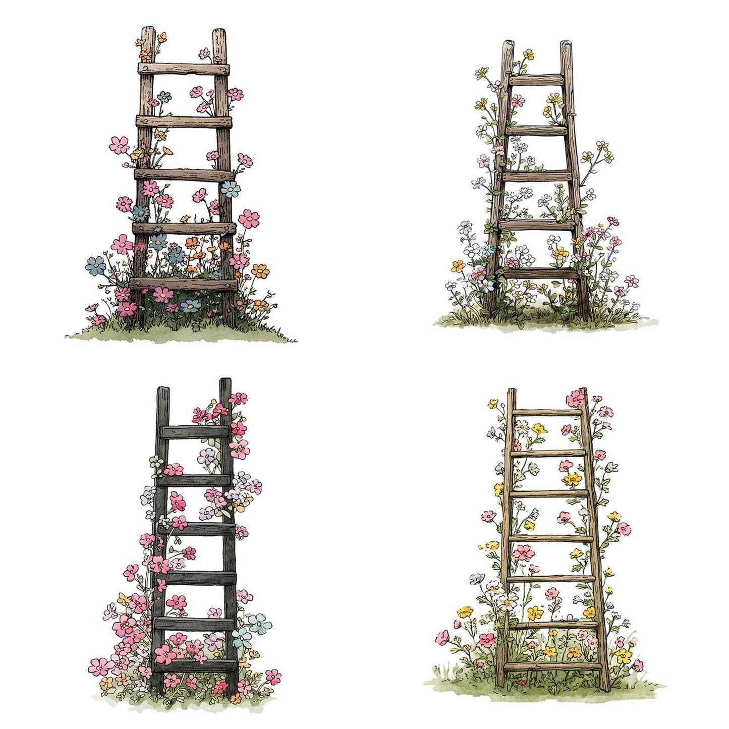 Ladder Wildflowers Clipart Set (DDD005940)