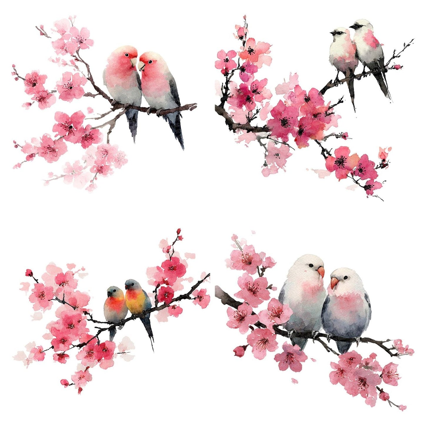 Lovebirds on Branch Clipart Set (DDD005991)