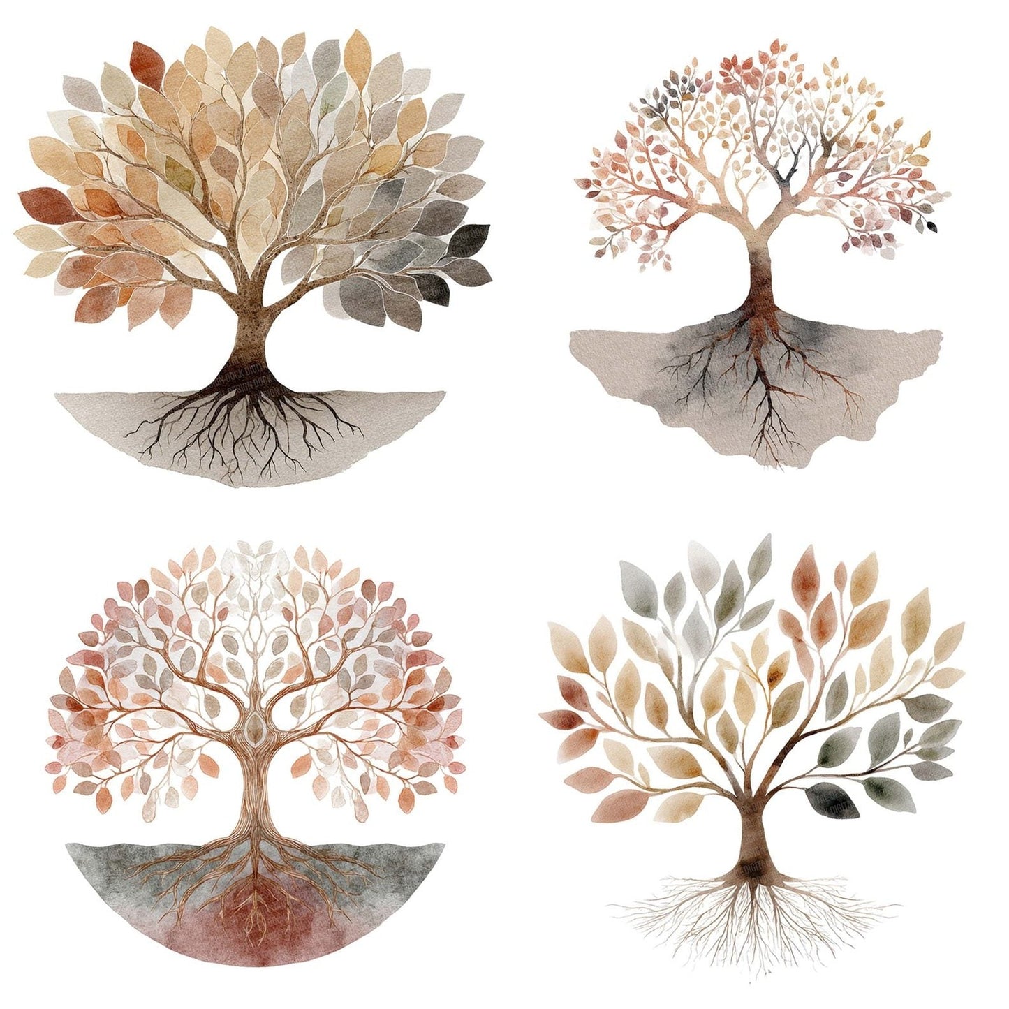 Minimal Boho Tree of Life Clipart Set (DDD006057)