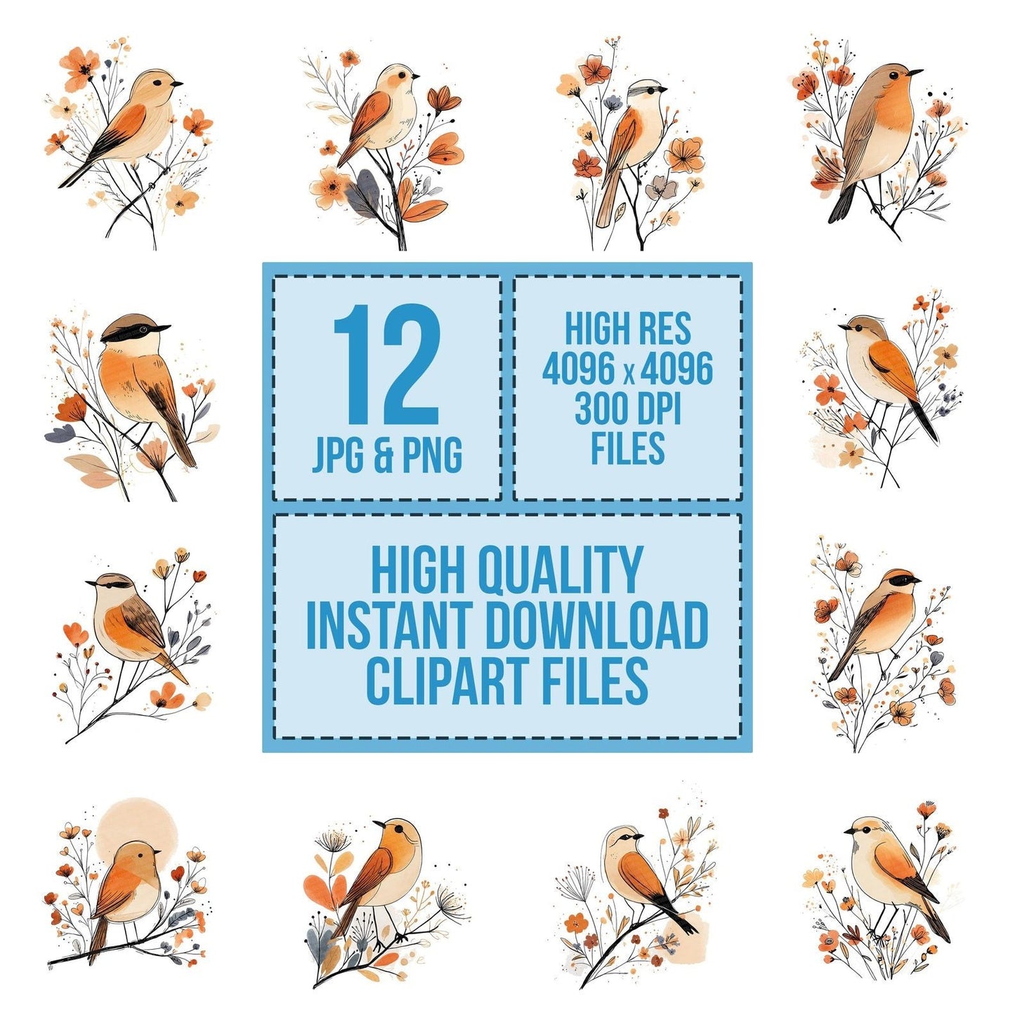 Minimal Floral Bird Clipart Set (DDD006059)