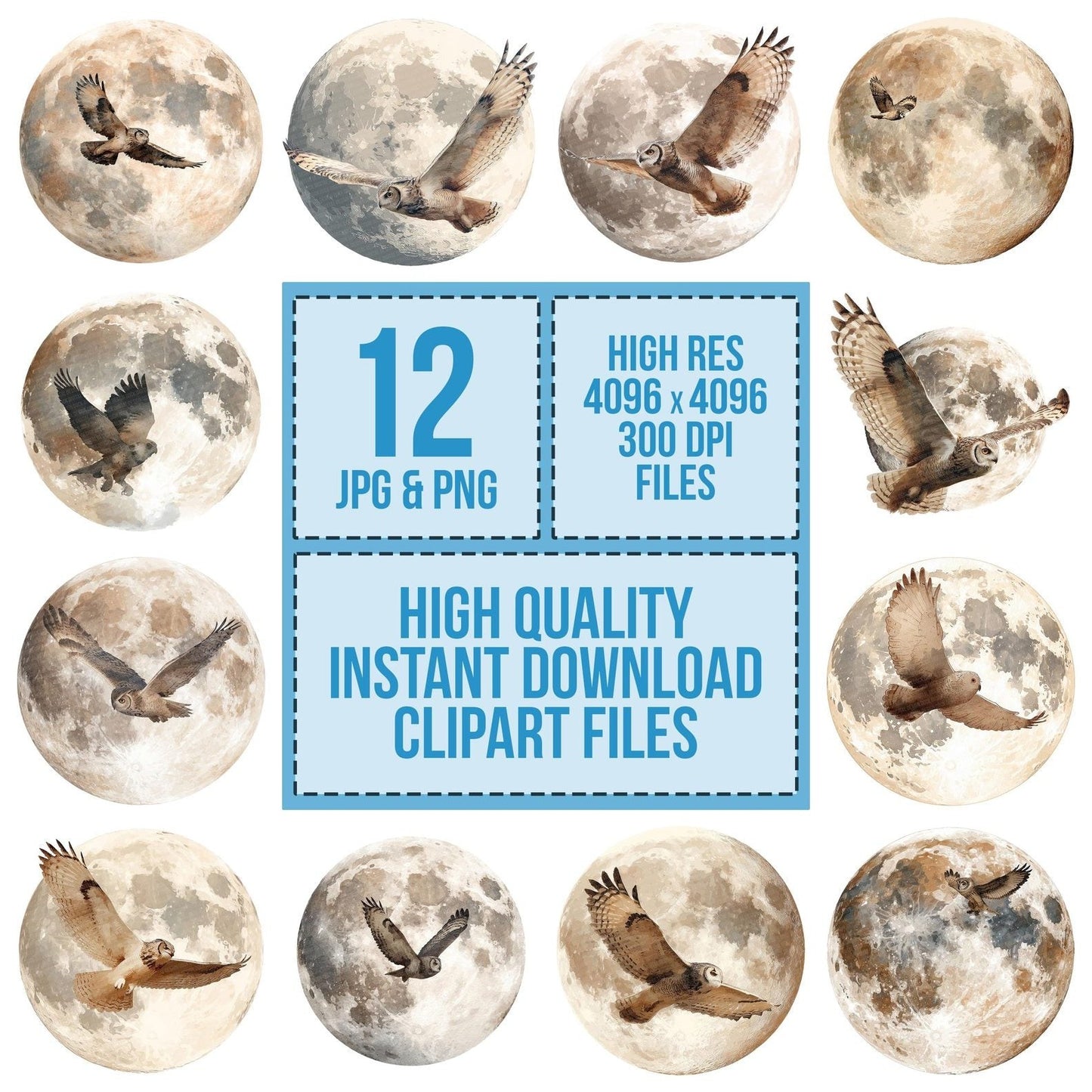 Moon Owl Silhouette Clipart Set (DDD006094)