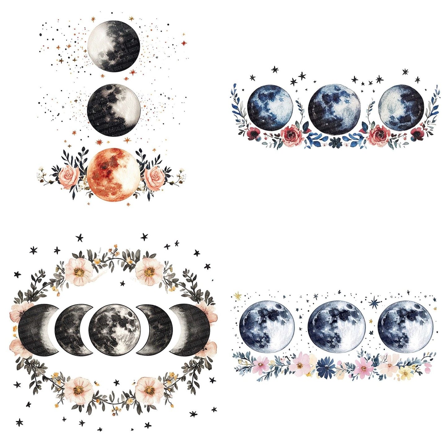 Moon Phases with Flowers Clipart Set (DDD006096)